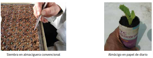 fbeacef6-huertasurbanas123434