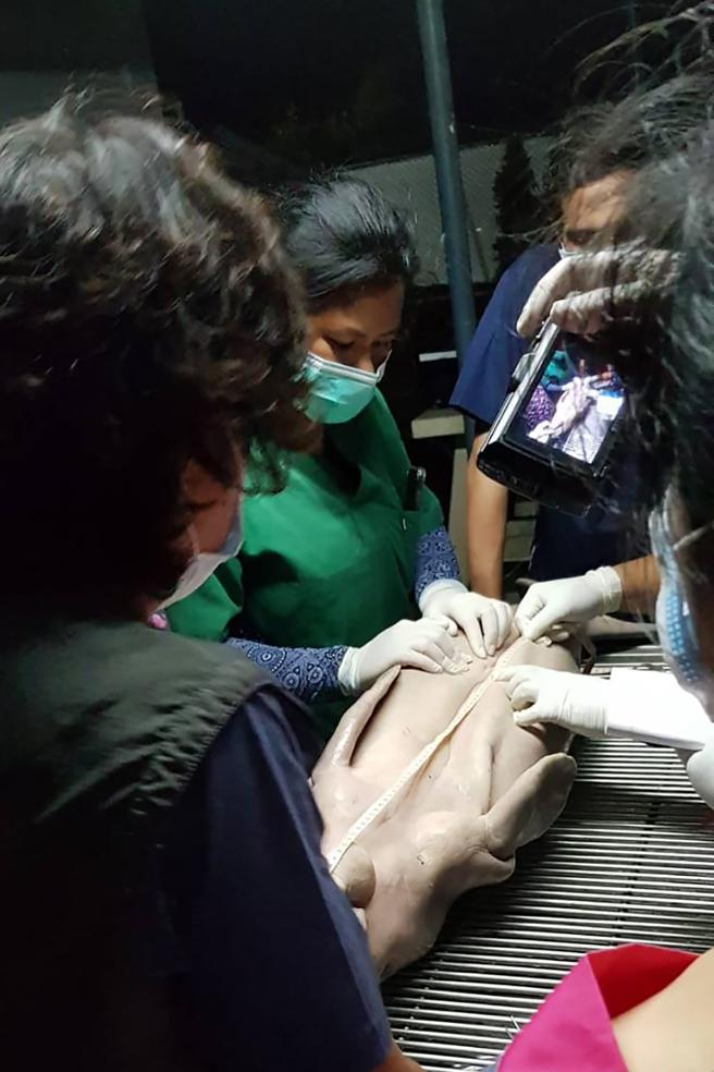 AFP_1JL1P5_20190817110828459-k9I--656x984@LaVanguardia-Web