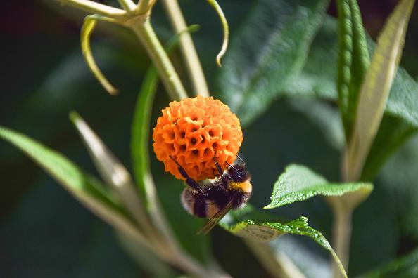 GettyImages-1233336504