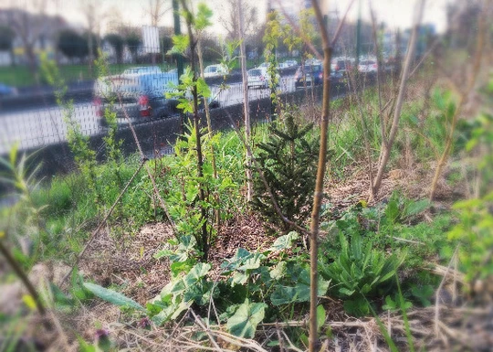 11c77a_1cbf0fb1d9f24b6c911903d94b511477_mv2