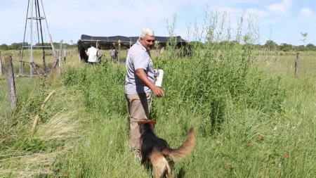 escuela-Miguel-de-Güemes-450x253