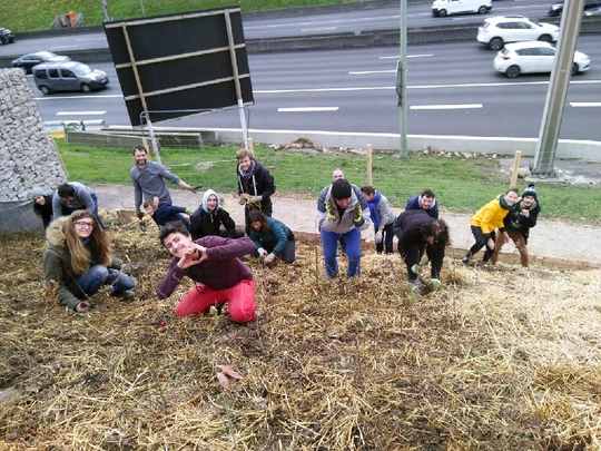 11c77a_74d809323c3344ea9fade7a1f67096c6_mv2