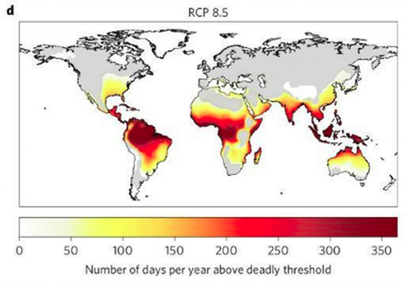 11c77a_89913d7f273e40989170e4ba6176ea92_mv2