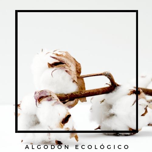 content_algodon-ecologico