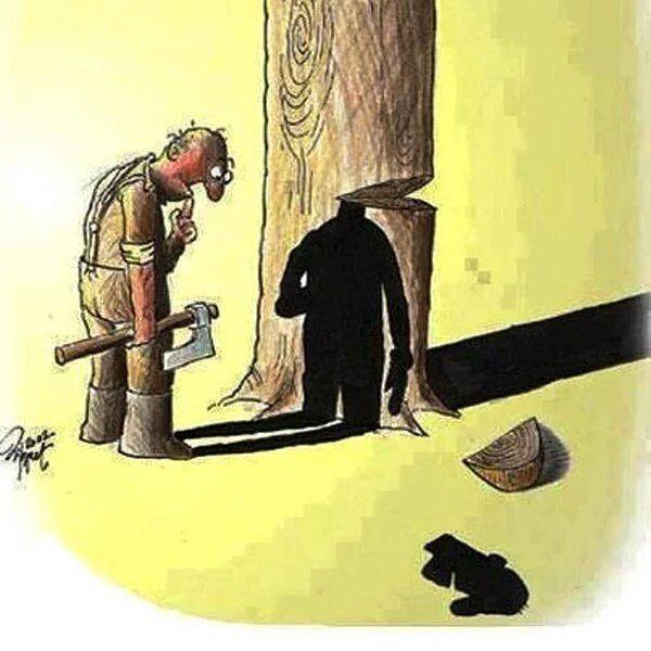 BannerImage_276_20191101175640_es