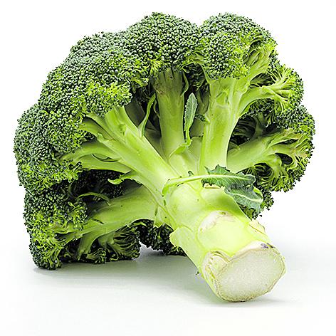 869341_202011171905200000002