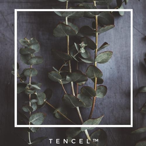 content_tencel-eucalipto