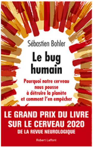 11c77a_91d5e4777dc7416093bc2af6c6359817_mv2