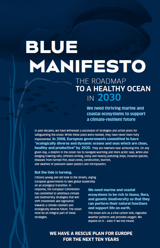 2020.01.27_Blue_Manifesto_PrintScreen