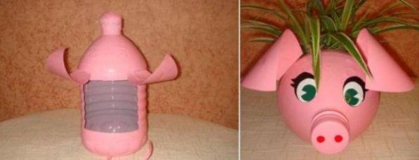 haz_un_puerco_maceta_foto_genial_guru.jpg_1940771540