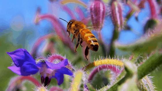 Diseño-sin-título-35