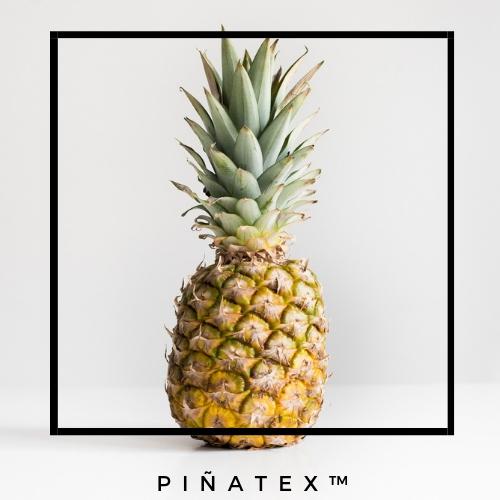 content_pinatex-cuero-pinatex