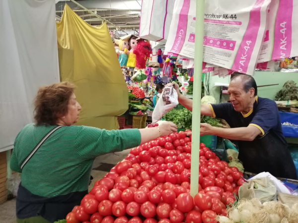 prohibicion-bolsas-plastico-vuelven-mercados