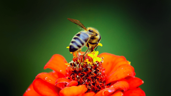 Diseño-sin-título-68