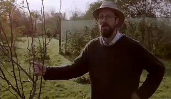 3-Paul_Kingsnorth-600x347