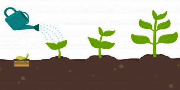 119021868_3635776066486486_1365287340584655811_n-1