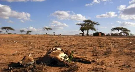 mainimage.jpeg_900235708