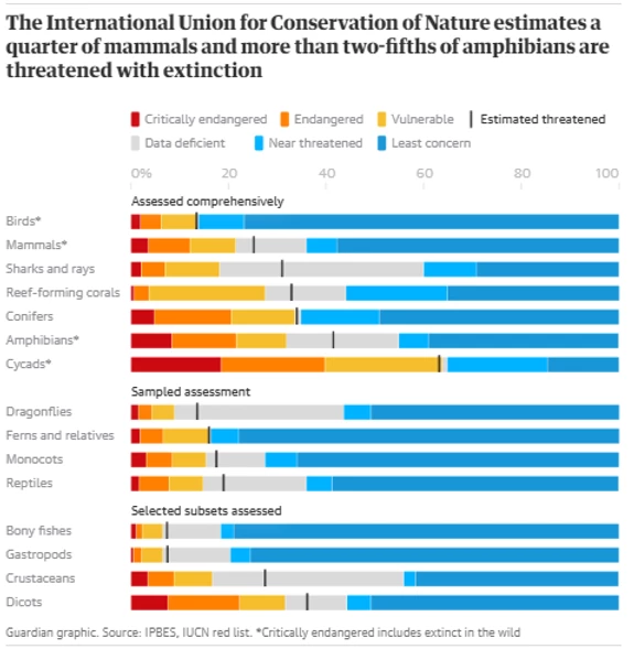 11c77a_98aca51a90a64c3c9c42e75b0bb5dbcc_mv2