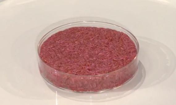 BBVAOpenMind-carne-artificial-3