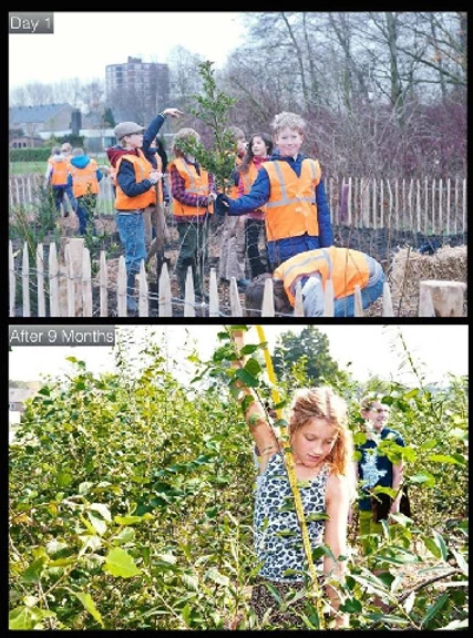 11c77a_a23e21ea32e44bdd88b4c8a04bfd15d4_mv2