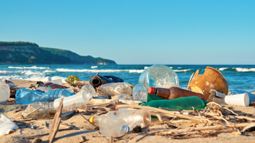 nuevos-envases-ecologicos-para-combatir-al-plastico-04