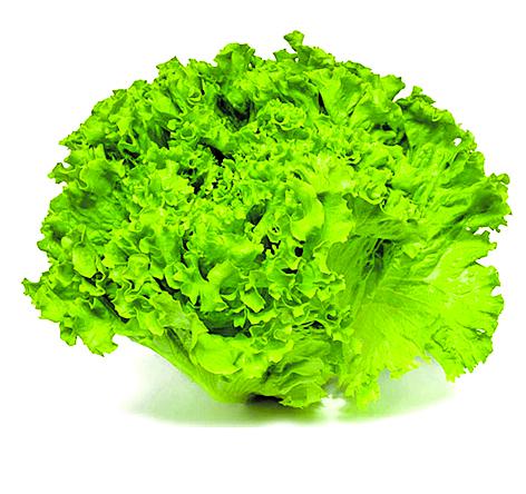 869341_202011171905200000005