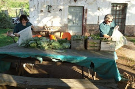 Central Nuclear Embalse - toma de muestras vegetales - ARN 2015