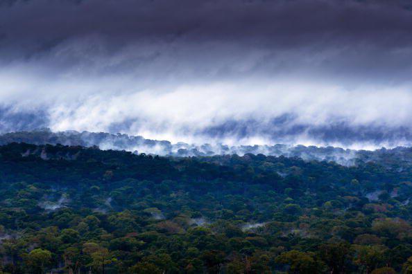 GettyImages-104575286_P6pB58h.width-600