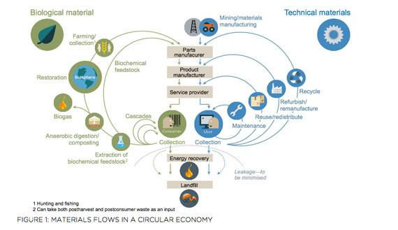 large_R-5IAM6KJmpQQFmagg0qLX8ehMmmb0Ha8WF1x6GPnNY