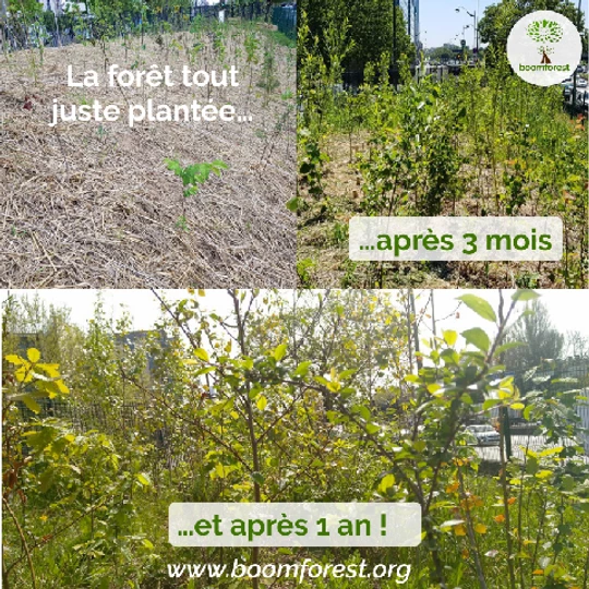 11c77a_9d400193a1fa4e62b1fba172cfc1a6b5_mv2