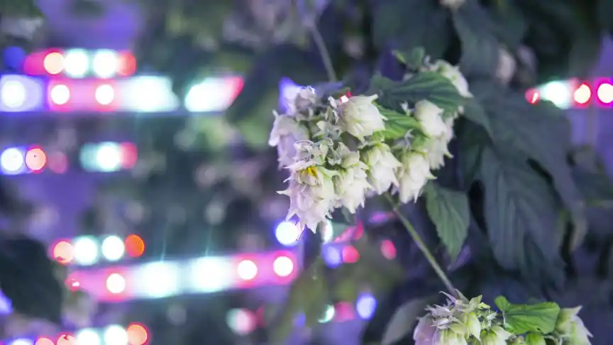 757934399_232581330_864x486