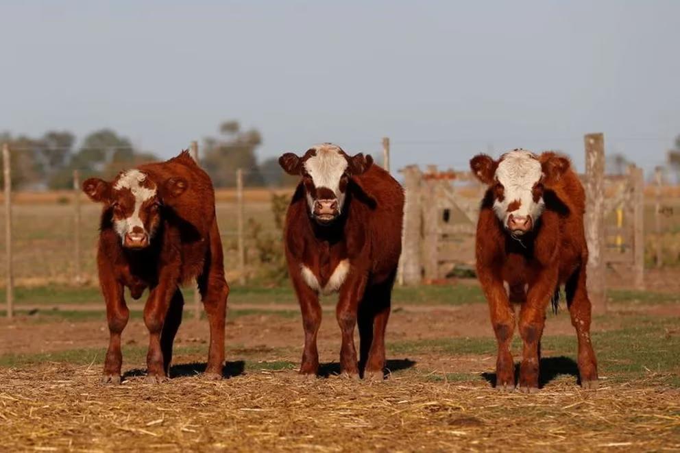 FILMO6ASBUQBZNCTJ4KETON6ZI