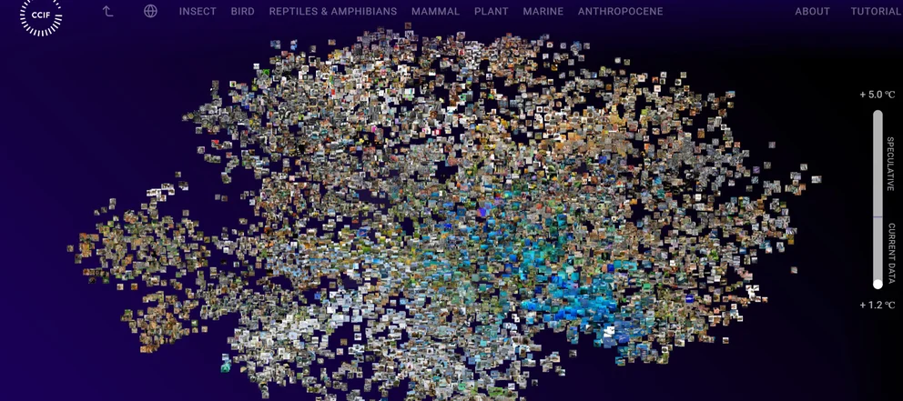 CJS24UTF6FHLPL7JNCD26GCCYU