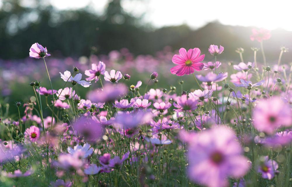 calentamiento-global-flores16-07-2021.medio-ambiente-ambiente-1536x983