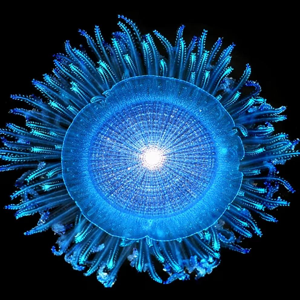 LW7FJEQ2MFAG3FF3QU3LS3J7KE