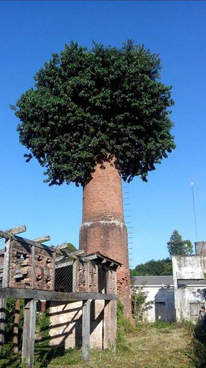 FToq8PoWYAE7eH3-864x1536