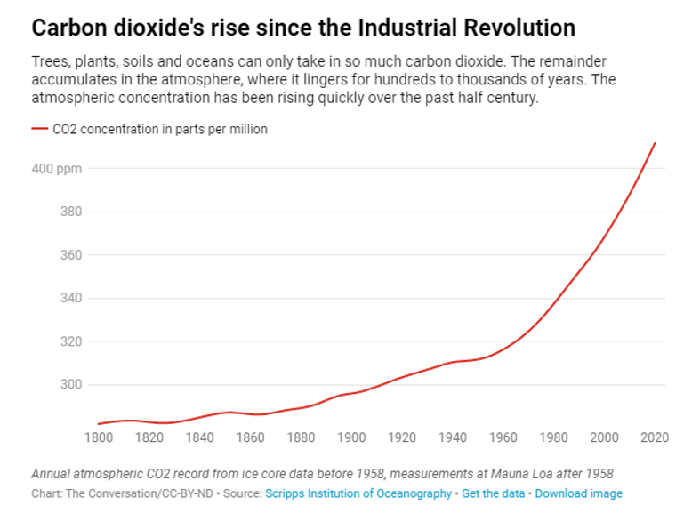 11c77a_4aa28d1395bb4e7da2dec3bc7ea4ec20_mv2