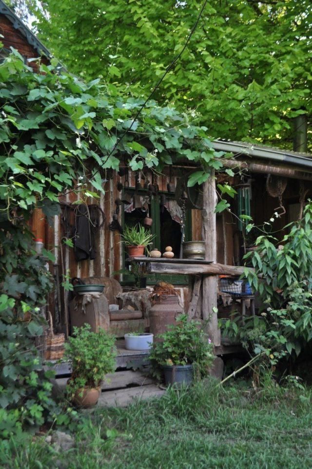 Jill-Redwood4-e1487524327473