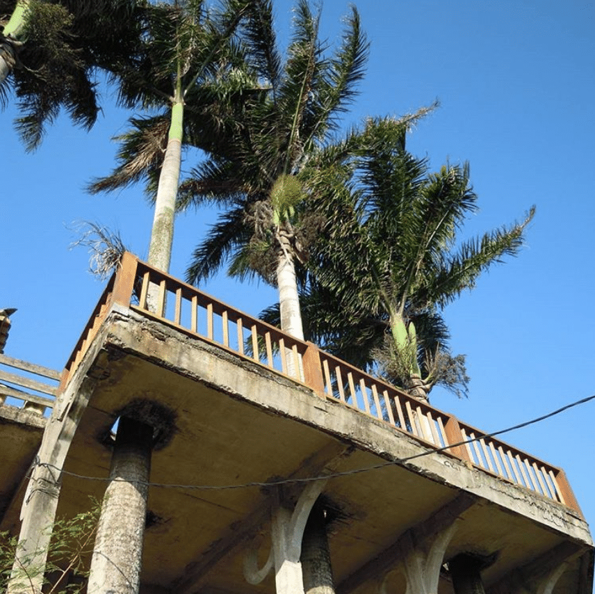 Captura-de-Pantalla-2020-06-26-a-las-13.52.03