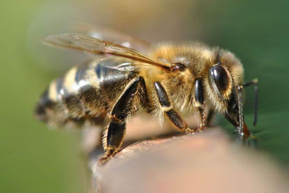 Copia-de-Sin-titulo-11-1024x683