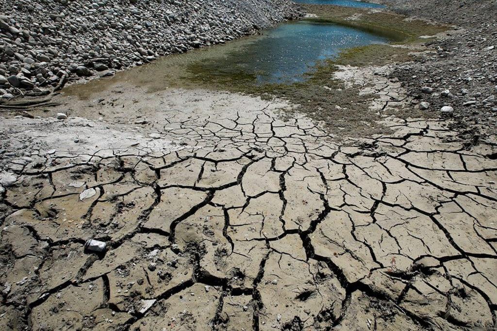 entrevista-walter_pengue_trigo_sequia04-1024x683