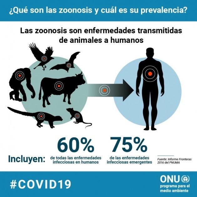 enfermedades-zoonticas-1_0