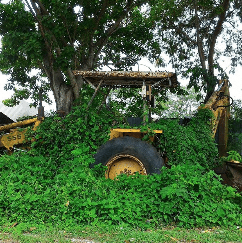 Captura-de-Pantalla-2020-06-26-a-las-13.49.14