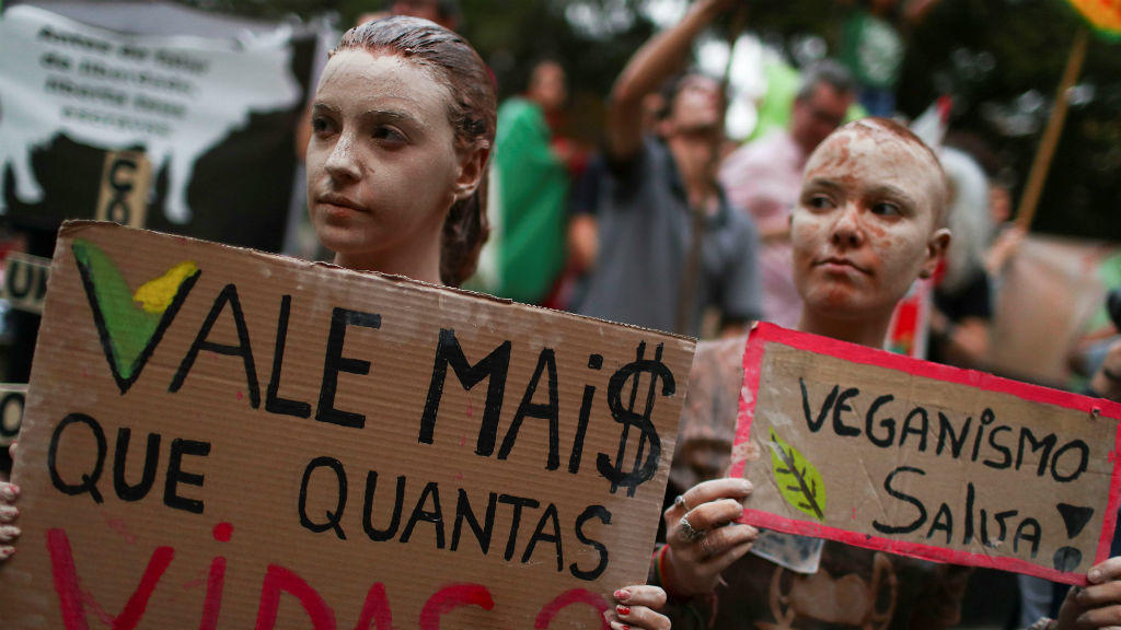 brasil1pq