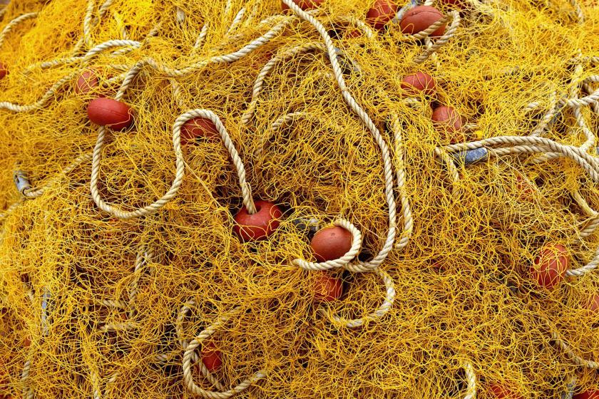 fishing-net
