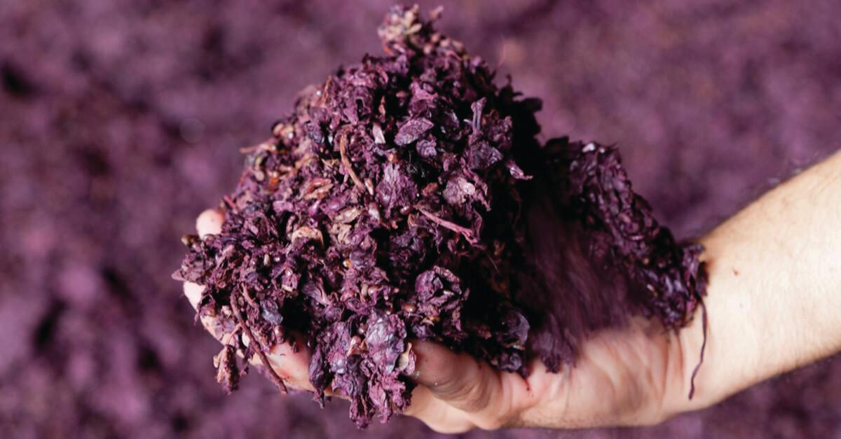 orujo-vino-cuero-vegetal-ecologico-industria-moda