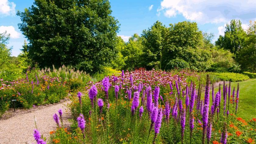 Diseño-sin-título-63