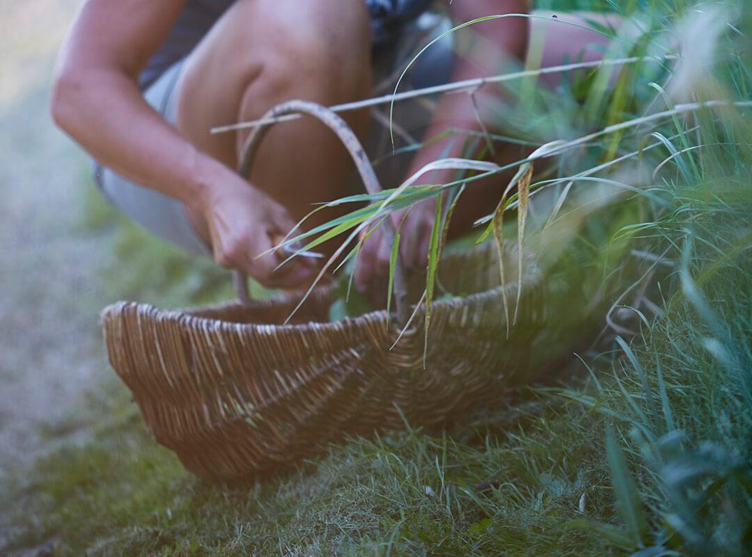 arboles-frutales-dinamarca-beneficios-naturaleza.04-02-2021.medio-ambiente