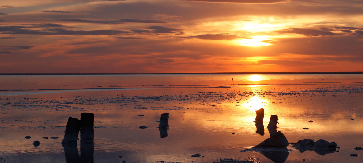 image1170x530cropped (1)