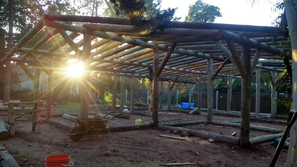 GQNTXER3R5C6XNGJGHFM6XUADE